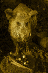 A beautiful large stuffed adult pig with apples at its feet.
