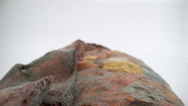 Close up of moldy bread on isolated white background