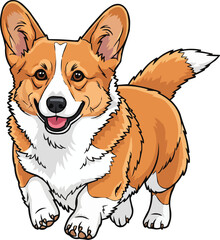 Pembroke Welsh Corgi dog running forward energetic cheerful pose