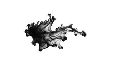 Black Ink Splash Texture on Transparent Background