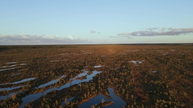 Aerial Drone View of Great Kemeri Bog, Golden Marshland and Blue Reflective Pools