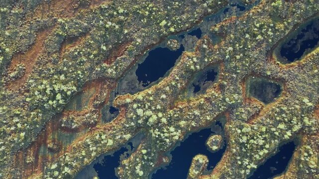 Smooth Drone Flyover of Kemeri National Park Bog, Blue Pools and Moss Patterns