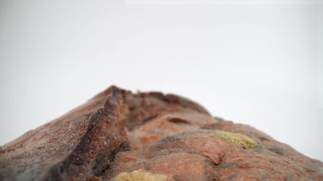 Close up of moldy bread on isolated white background