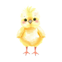 Watercolor chicken, Easter day, isolated on white background. Birds for greeting cards, posters and wedding designs.