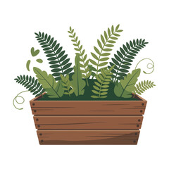 Wooden rectangular planter box filled with various lush green fern leaves.