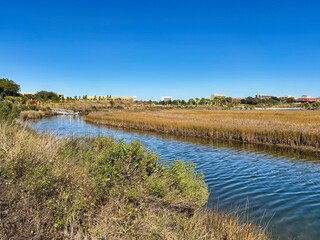 Coastal Marsh and Urban Skyline at Bruce Beach Park