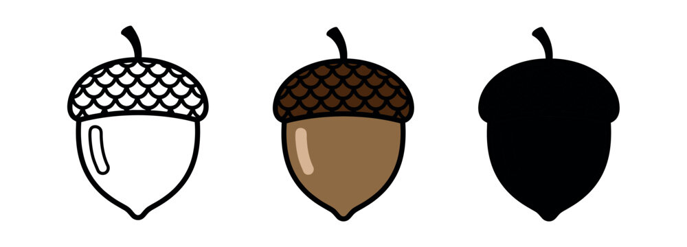 Three-part acorn icon set featuring dark brown scalloped cap detail, provided in line art, flat color, and solid silhouette.