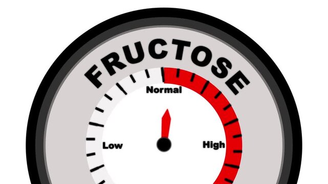 Fructose text with a barometer or tachometer-style gauge, illustrating varying levels of fructose in the body and its impact on health and metabolism