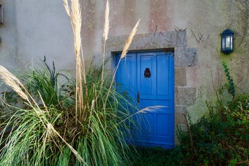 Overgrown blue wooden door with stone frame and ornamental knocker &mdash; rustic cottage facade with pampas grass