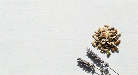 Heirloom seeds and dried lavender sprigs on off-white linen textured surface