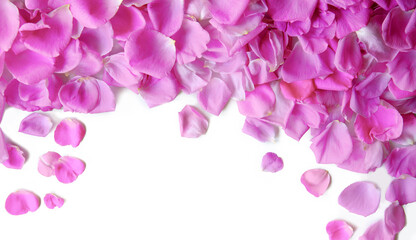 Natural background of rose petals