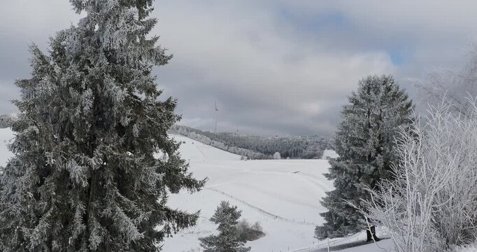 Gersbach im Schwarzwald. Herrliche, schneebedeckte Landschaft des Rohrenkopfes mit seinen Windkraftanlagen, die zwischen hohen Tannen oberhalb des Frohlochwegs sichtbar sind

