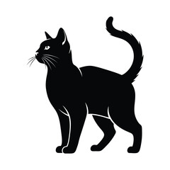 Black cat standing with tail up and looking sideways © Mohsin