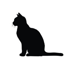 Cat silhouette sitting and looking away © Mohsin