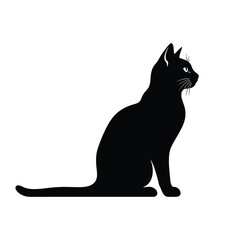 Black cat silhouette sitting and looking sideways © Mohsin