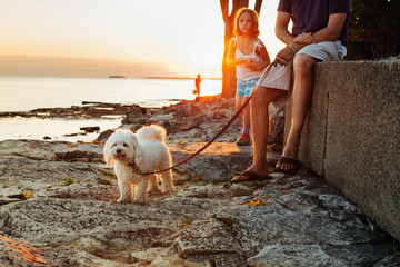 Dog and Owners by Lake at Sunset