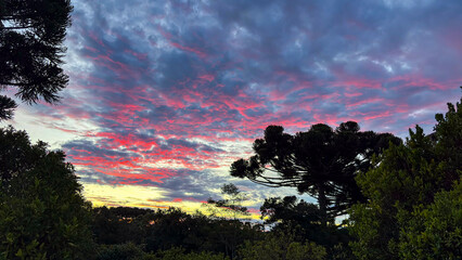 Dramatic sunset sky with vibrant clouds in pink, dusk, frame, frame the scene.