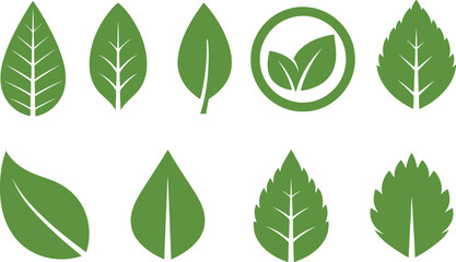 Green Leaf Vector set collection