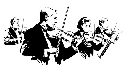 Group of violinists playing their instruments during concert © Tomas