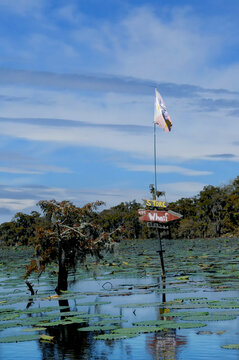 Swamp Sign Point the Way
