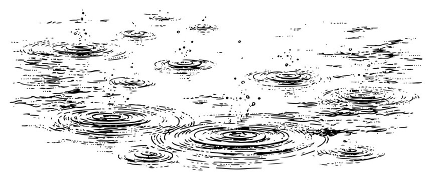 Falling raindrops creating water ripples on a surface in hand drawn ink sketch style