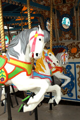 Amusement Park Carousel Horse Ride