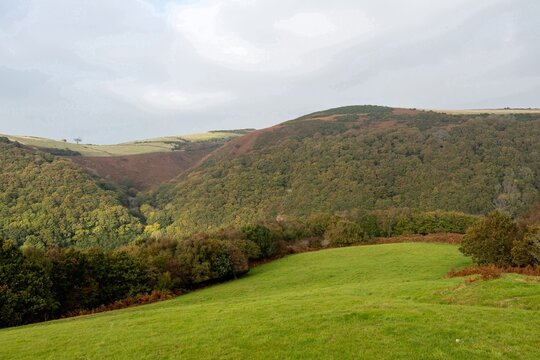 Landscape photo of the autumn colours at Watersmeet valley in Exmoor National Park
