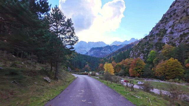 Driving through the Selva de Oza forest in Valley of Hecho, green broad-leaf and coniferous mixed forest. Occidental Valleys Natural Park, Aragonese Pyrenees, Huesca Province, Spain