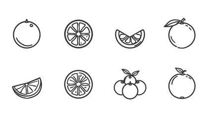 A set of hand-drawn illustrations of various citrus fruits and slices on a white background