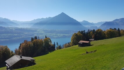 Alpine Landschaft am Thunersee im Berner Oberland mit grüner Bergwiese, Chalets und markantem Bergpanorama in der Schweiz
