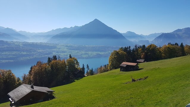 Alpine Landschaft am Thunersee im Berner Oberland mit gr&uuml;ner Bergwiese, Chalets und markantem Bergpanorama in der Schweiz
