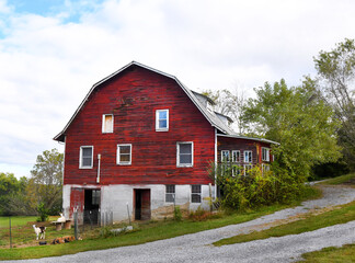Dairy Barn in Disrepair