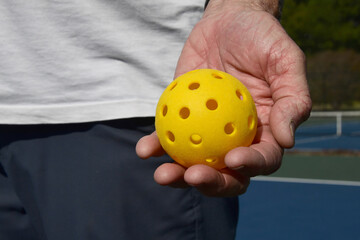 Hand Holds Pickle Ball