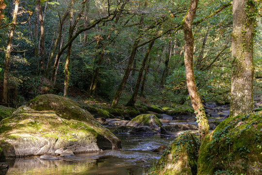 The River Sedelle flowing through a wooded landscape in the Indre department of France, with clear water, moss-covered rocks, and deciduous trees in a peaceful natural setting.