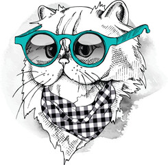 Cat wearing sunglasses and bandana white background