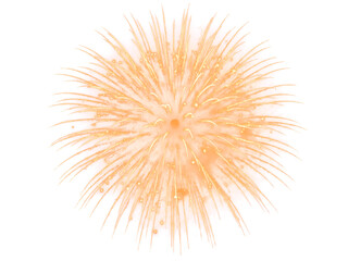 Fototapeta premium Golden Firework Overlay. Festival Sparkling Fireworks Isolated on Transparent Background. Effect Texture