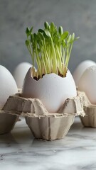 White eggshells with green sprouts in a carton. A symbol of new life and spring, representing Easter traditions and seasonal celebrations.