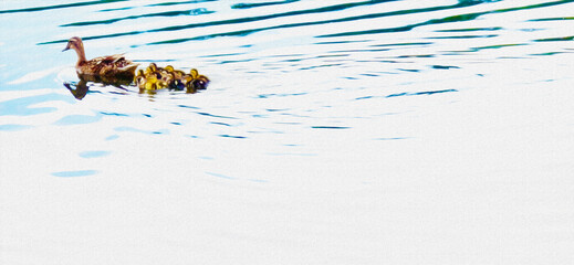 Mother or Mom Duck w/at least 10-12 Ducklings Huddled and Swimming Behind her w/ripples of water -Space for Ad, Text or Message (filtered photo)