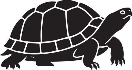 Box Turtle Silhouette on White Background