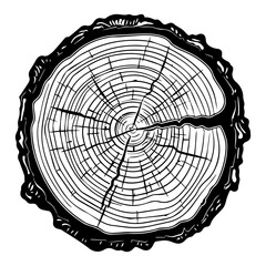 Highly detailed single tree trunk cross section with prominent annual rings and bark texture in a classic woodcut style