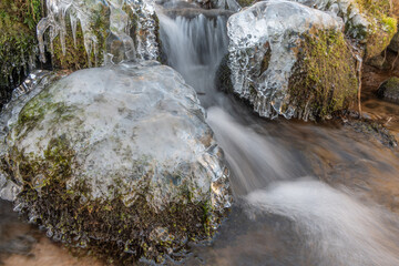 Frozen branches at edge of flowing stream during winter in forest