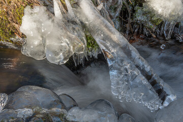Frozen branches at edge of flowing stream during winter in forest