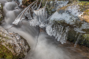 Frozen branches at edge of flowing stream during winter in forest