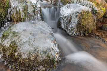 Frozen branches at edge of flowing stream during winter in forest