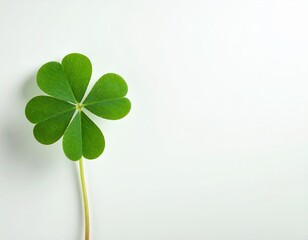Single vibrant green clover with four leaves displayed on white. Minimal St. Patrick&rsquo;s Day banner with single clover sprig and soft vignette background.