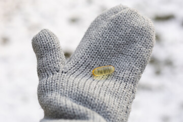 Closeup of a person wearing gloves and holding vitamin D capsules. Concept of supplementing vitamin D in winter.