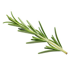 Fototapeta premium Fresh green rosemary sprig for cooking and seasoning, isolated on transparent background