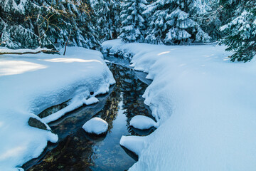 Winter Mountain Stream in Snowy Forest, Karkonosze Mountains