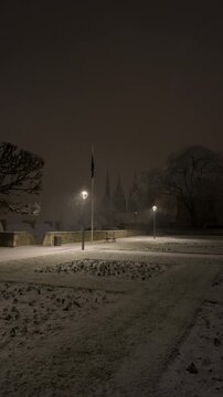 Chutes de neige de nuit et paysages blancs
