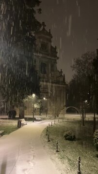 Chutes de neige de nuit et paysages blancs